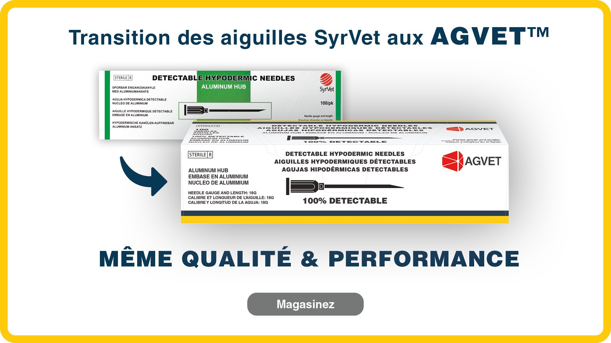 banniere transition syrvet a agvet_ banniere transition syrvet a agvet_